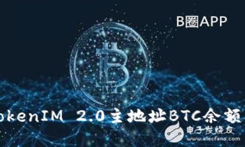 如何解决TokenIM 2.0主地址BTC余额不足的问题