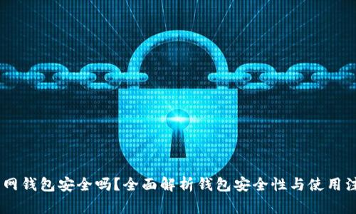 USDT官网钱包安全吗?全面解析钱包安全性与使用注意事项