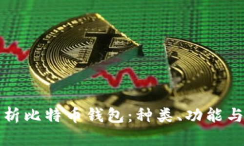深入解析比特币钱包:种类、功能与安全性