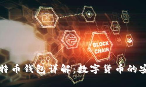 俄罗斯比特币钱包详解：数字货币的安全与使用