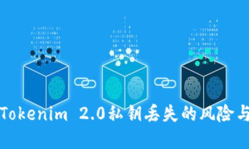 如何应对Tokenim 2.0私钥丢失的风险与解决方案