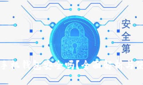 比特币手机钱包安全吗?全面解析与使用技巧