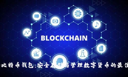 250g比特币钱包:安全存储与管理数字货币的最佳选择