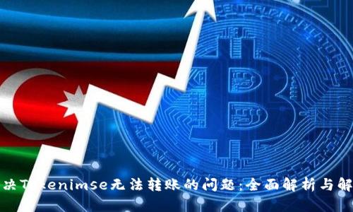 如何解决Tokenimse无法转账的问题:全面解析与解决方案