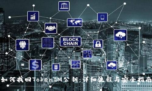 如何找回TokenIM公钥:详细流程与安全指南