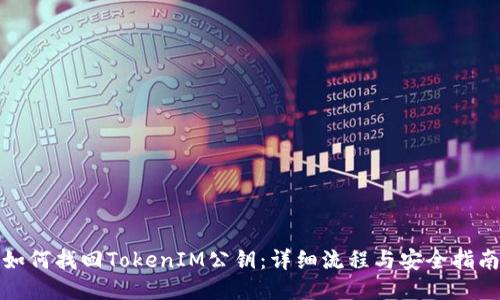 如何找回TokenIM公钥:详细流程与安全指南