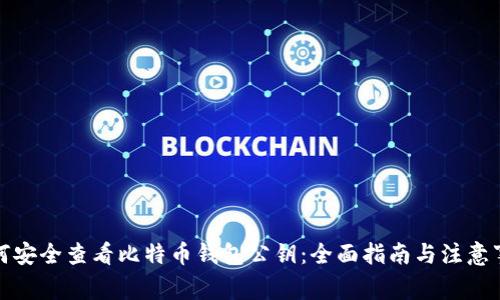 如何安全查看比特币钱包公钥：全面指南与注意事项