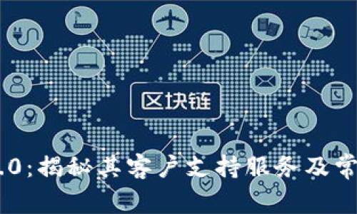 Tokenim 2.0：揭秘其客户支持服务及常见问题解答