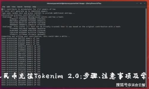 如何使用人民币充值Tokenim 2.0:步骤、注意事项及常见问题解析