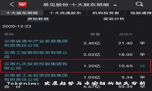 Tokenim: 发展趋势与币安链的缺失分析