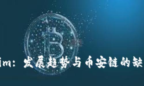 Tokenim: 发展趋势与币安链的缺失分析
