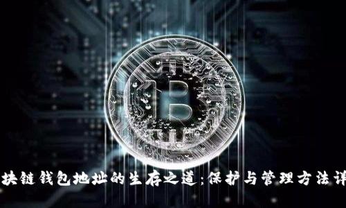 区块链钱包地址的生存之道:保护与管理方法详解