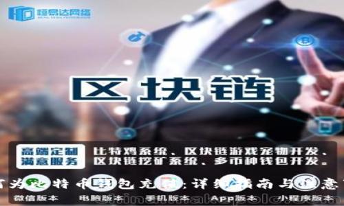 如何为比特币钱包充值:详细指南与注意事项