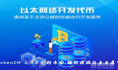 TokenIM 2.0不支持币安:解析原因及未来展望