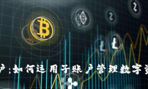虚拟币钱包子账户:如何运用子账户管理数字资产的安全与效率
