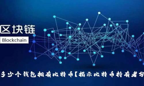 全球有多少个钱包拥有比特币？揭示比特币持有者分布趋势