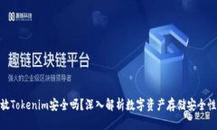 放Tokenim安全吗？深入解析数字资产存
