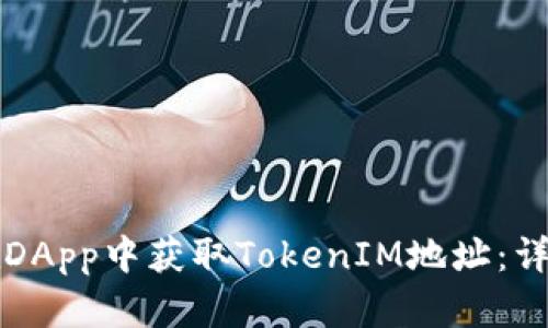 如何在DApp中获取TokenIM地址:详细指南