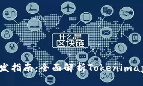 Tokenimapp开发指南:全面解析Tokenimapp的功能与应用