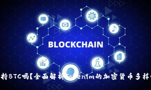 Tokenim支持BTC吗?全面解析Tokenim的加密货币多样性及其对比