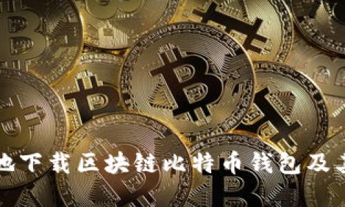 如何安全地下载区块链比特币钱包及其官网指南