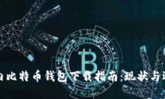 国内比特币钱包下载指南：现状与选择