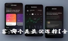 虚拟币钱包推荐：哪个是最优选择？全