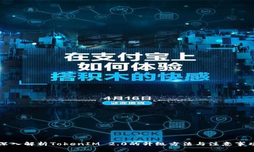 深入解析TokenIM 2.0的升级方法与注意事项