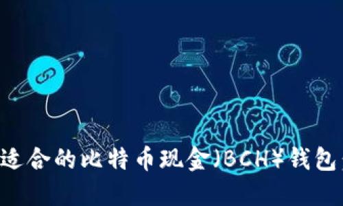 如何选择适合的比特币现金（BCH）钱包：全面指南