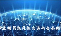 以太坊钱包升级交易的全面指南