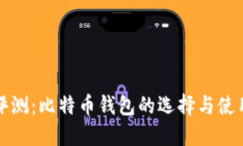 全面评测:比特币钱包的选择与使用指南