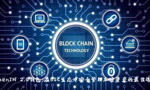 TokenIM 2.0钱包:在BSC生态中安全管理加密资产的最佳选择