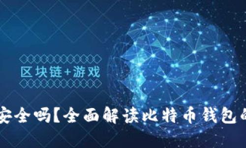 自己的比特币钱包安全吗？全面解读比特币钱包的安全性与防护措施