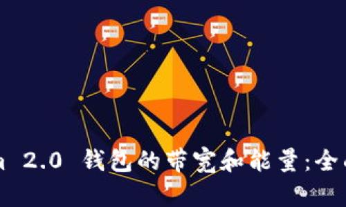 深入了解Tokenim 2.0 钱包的带宽和能量:全面解析及应用指南