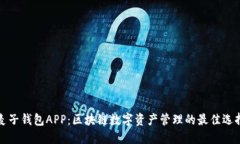 麦子钱包APP：区块链数字资产管理的最