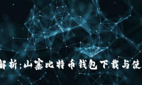 全面解析:山寨比特币钱包下载与使用指南