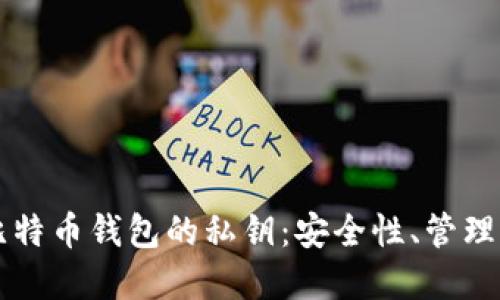 深入了解比特币钱包的私钥：安全性、管理与使用指南