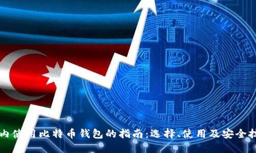 国内使用比特币钱包的指南:选择、使用及安全技巧