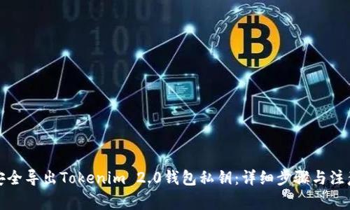 如何安全导出Tokenim 2.0钱包私钥:详细步骤与注意事项