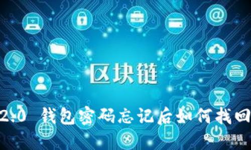 Tokenim 2.0 钱包密码忘记后如何找回?详细指南