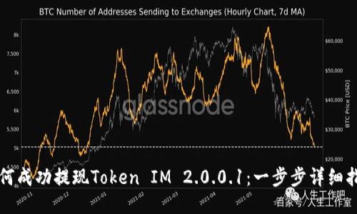 如何成功提现Token IM 2.0.0.1：一步步详细指南