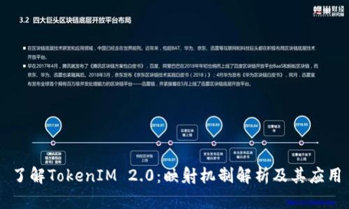 了解TokenIM 2.0：映射机制解析及其应用