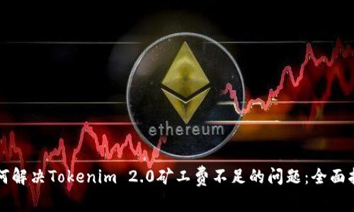 如何解决Tokenim 2.0矿工费不足的问题：全面指南