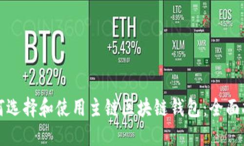 如何选择和使用主链区块链钱包:全面指南