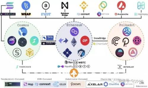 USDT应该存在钱包的哪个链?全面解析及选择指南
