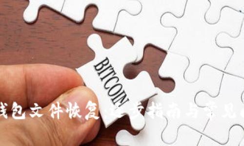 比特币钱包文件恢复:逐步指南与常见问题解答