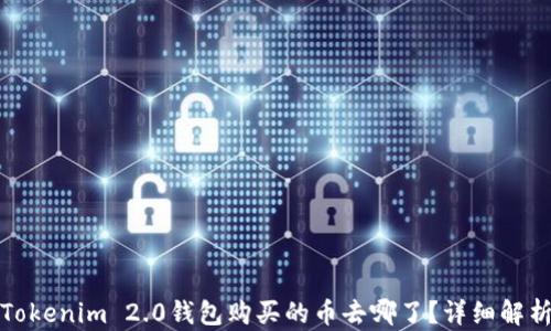 Tokenim 2.0钱包购买的币去哪了?详细解析