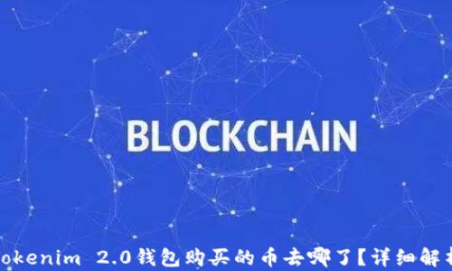 Tokenim 2.0钱包购买的币去哪了?详细解析