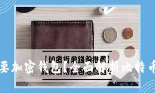 比特币为何需要加密钱包?全面解析比特币安全的重要性