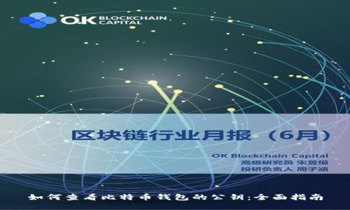 如何查看比特币钱包的公钥:全面指南